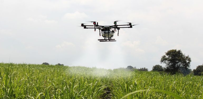 Fields in Andalusia are now caring for by 5G drones